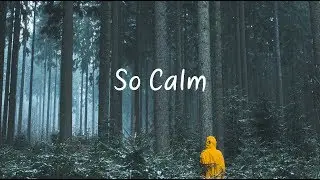 So Calm | Beautiful Chill Mix