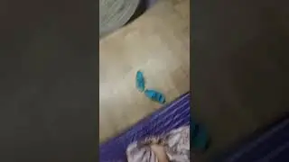 Ч.3