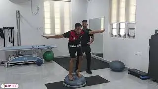 INTRODUCTION TO BALANCE AND PROPRIOCEPTIVE TRAINING