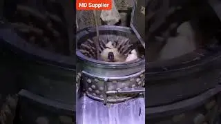 Fully Automatic Chicken Scalder and Plucker