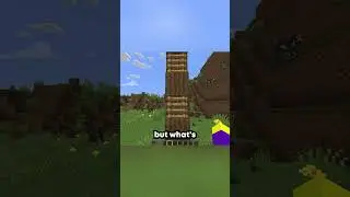 java vs bedrock facts