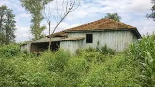 ESPOSA SE DEITAVA COM UM IDOSO A TROCO DE TRÊS GALINHAS A CADA CHIFRADA, E O MARIDO DESCOBRIU