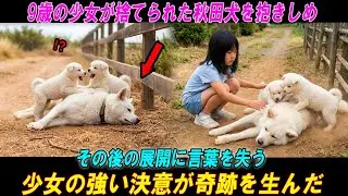 【奇跡の実話】 奇跡が起きた！心優しい9歳の女の子が、捨てられた秋田犬を救う感動の瞬間。 #海外の感動話  #秋田犬 #海外の反応  #海外の話