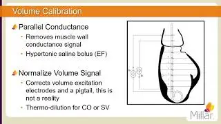 Millar 動物實驗壓力容積校正 Millar PV Loop Volume Calibration