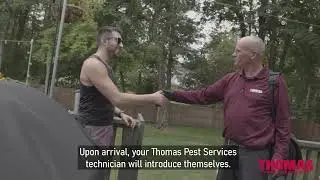 Spring Pest Control Service: What to Expect