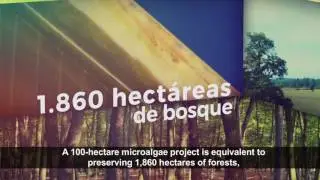CLEAN ENERGY CHILE