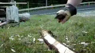 Hewing with Scrapyard Dogfather