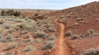Hotdog Trail