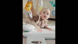 Snuggle Bear Activity Gym
