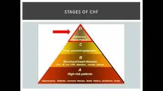 Advanced Therapies