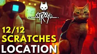 STRAY - How to find All Scratches Location | Full Game (Stray Guide)