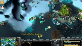 Warcraft 3 Customs 15
