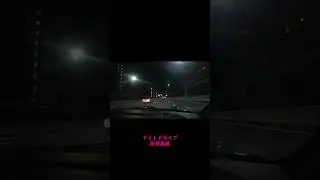 ドライブ / 阪神高速 / 夜