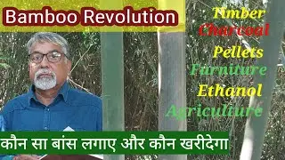 352. Subhash Bhatia, Bamboo King, Jabalpur - Part 3. Bamboo Revolution.