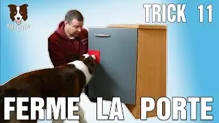 Mon Chien 