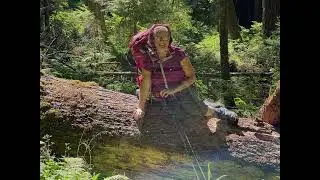 Off the Beaten Path - An Adventure Up the Bogachiel River Trail