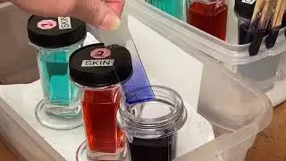 Microscope Fundamentals for Vet Assistants