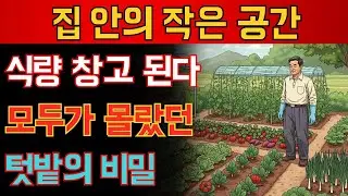 당신의 베란다가 식량 창고가 됩니다 – 자급자족 텃밭의 비밀