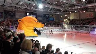 Grizzlys Wolfsburg Einlauf 2022