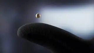 Tegera Infinity - тонкость на грани чувств