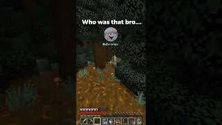 Minecraft White Enderman Moment