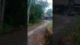 Suasana desa sepi adem #desa #suasanapedesaan #perdesaan #pemandangandidesa #kampunghalaman #ndeso