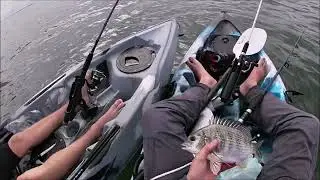 Redcliffe Reef Flathead And Bream Fishing