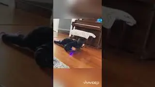 Have Fun At Home