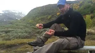 Impr&aelig;gnering af l&aelig;derst&oslash;vler