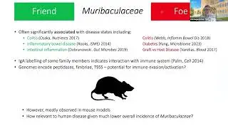 [ Guest Lecture ] Professor Phil Hugenholtz - Microbial Evolution, Ecology, and Diversity,