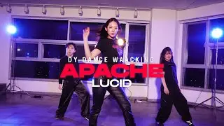 [1월 화 9시 입시반] LUCID | M.A.S.I  - Apache(House Version) | (Waacking Class)