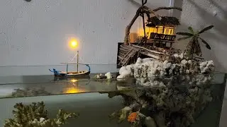Island Reef 4th month update - Added buhble tip  anemone butterfly fish feather duster....