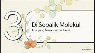 5.5 Minyak Sawit