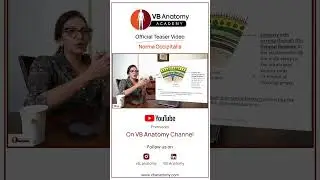 Norma Occipitalis Teaser          #anatomy #education #anatomylessons #clinicalanatomy #grossanatomy