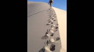footsteps