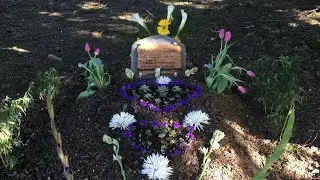 Simplicity in Death: Allowing Nature to Paint the Picture with Natural Burials