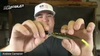 Saltwater Assassin's Shad Assassin! (Product Spotlight!)
