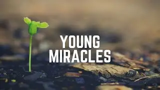 Kyle Novy - Young Miracles (Official Lyric Video)