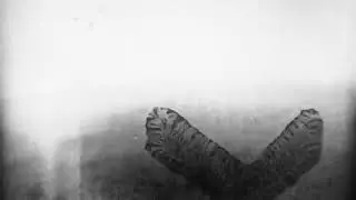 GERGESENES - the beast between two heads