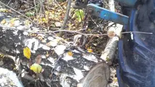 Forest traktor T-40 pulls the tree (Лесной Трактор Т-40, ездит по бездорожью и таскает деревья)
