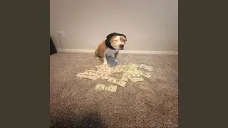 ok