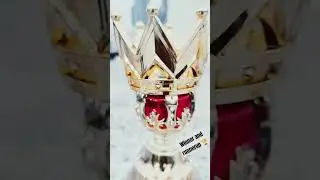 cricket fiber trophy on Wholesale rate Watsapp on 8104152556#cricket #trophy #trophies #viralvideo