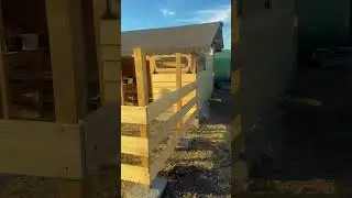 Construim adăpost, saivan, grajd pentru animale ! Partea a-4-a