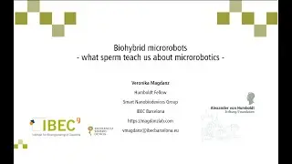 The MultiScale Talk #3 - Veronika Magdanz - What sperm can teach us about microrobotics?