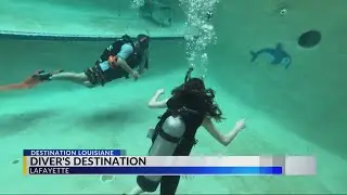 Destination Louisiane: Diver's Destination