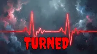 Smudge - Should've Said (Lyric Video)