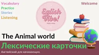 Лексические карточки 💡/ The animal world 🌏 / Английский для начинающих /English Vibe ⭐️