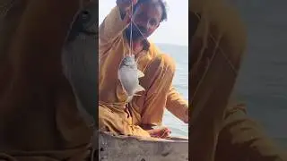 mangrovs fishing in karachi#handline