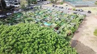 Makiki Community Garden