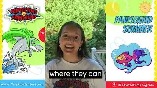 Pawsquad Summer Week 6 Wrap-up of AMAZING AQUATIC ANIMALS.
